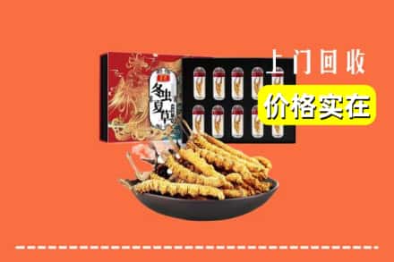 双鸭山岭东回收冬虫夏草