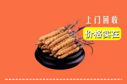 双鸭山岭东回收冬虫夏草